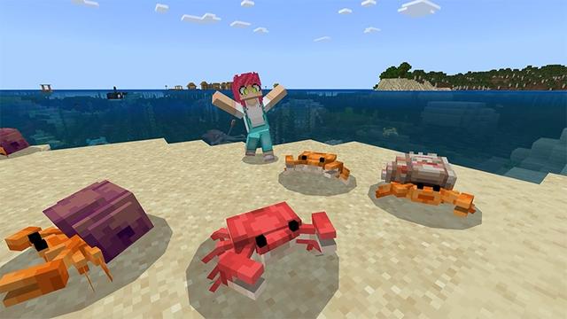 Screenshot of the Minecraft Bedrock Marketplace product Warm Ocean Mobs created by Lifeboat.