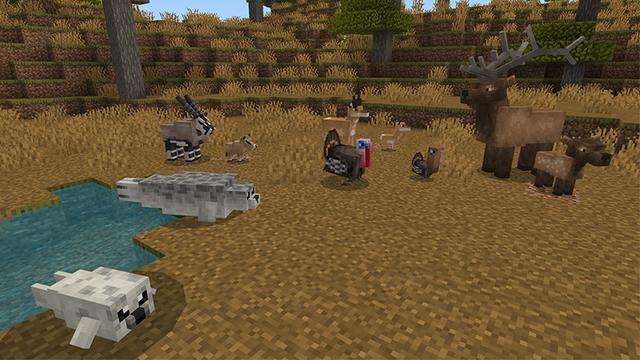 Screenshot of the Minecraft Bedrock Marketplace product Wilderness Add-On created by Lifeboat.
