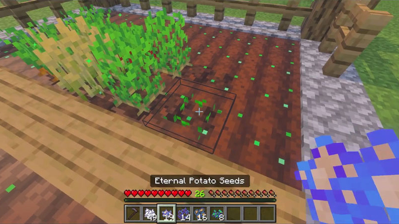 Screenshot of the Minecraft Bedrock Marketplace product LUT Add-On created by Logdotzip.