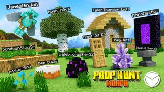 Thumbnail of the Minecraft Bedrock Marketplace product Caça aos adereços Morph created by Logdotzip.
