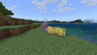 Screenshot of the Minecraft Bedrock Marketplace product Amethyst Plus! created by Lua Studios.