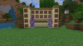 Screenshot of the Minecraft Bedrock Marketplace product Amethyst Plus! created by Lua Studios.