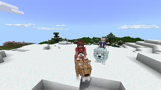 Screenshot of the Minecraft Bedrock Marketplace product Mountable Pets! created by Lua Studios.