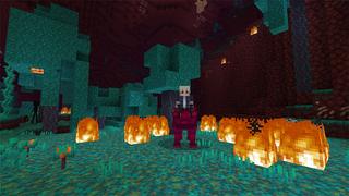 Screenshot of the Minecraft Bedrock Marketplace product Mountable Pets! created by Lua Studios.