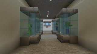 Screenshot of the Minecraft Bedrock Marketplace product X-ray created by Lua Studios.