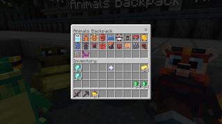 Screenshot of the Minecraft Bedrock Marketplace product Backpack Pets created by Maca Designs.