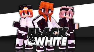 Thumbnail of the Minecraft Bedrock Marketplace product Black & White created by Maca Designs.