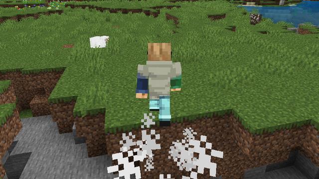 Screenshot of the Minecraft Bedrock Marketplace product Enhanced Movement created by ManaLabs Inc.