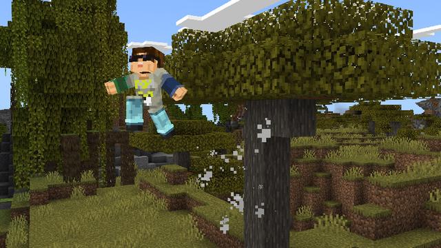 Screenshot of the Minecraft Bedrock Marketplace product Enhanced Movement created by ManaLabs Inc.
