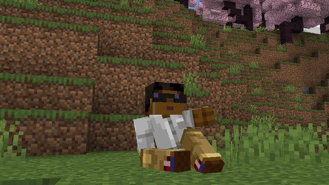 Screenshot of the Minecraft Bedrock Marketplace product Enhanced Movement created by ManaLabs Inc.