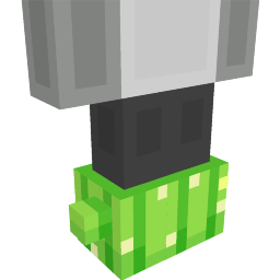 Thumbnail of the Minecraft Bedrock Marketplace product Cactus Slippers created by Master Duckies.