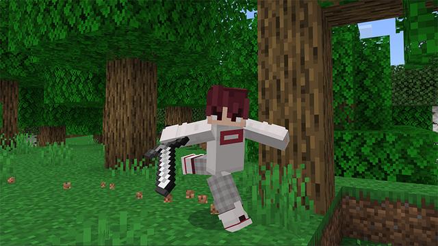 Screenshot of the Minecraft Bedrock Marketplace product Animations+ Add-On created by MelonBP.