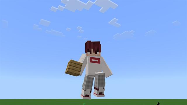 Screenshot of the Minecraft Bedrock Marketplace product Animations+ Add-On created by MelonBP.