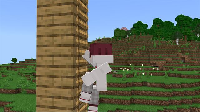 Screenshot of the Minecraft Bedrock Marketplace product Animations+ Add-On created by MelonBP.