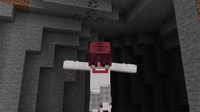 Screenshot of the Minecraft Bedrock Marketplace product Animations+ Add-On created by MelonBP.