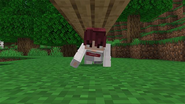 Screenshot of the Minecraft Bedrock Marketplace product Animations+ Add-On created by MelonBP.