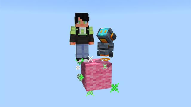 Screenshot of the Minecraft Bedrock Marketplace product One Block Pets created by MelonBP.