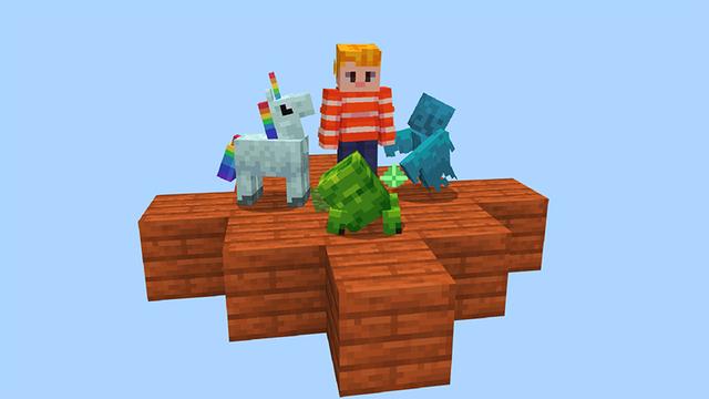 Screenshot of the Minecraft Bedrock Marketplace product One Block Pets created by MelonBP.