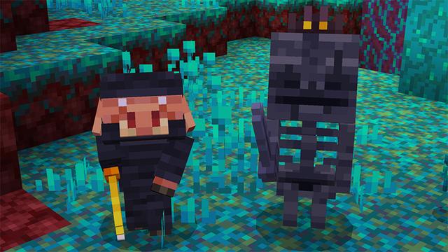 Screenshot of the Minecraft Bedrock Marketplace product One Block Pets created by MelonBP.