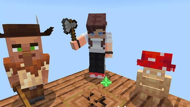 Screenshot of the Minecraft Bedrock Marketplace product One Block Pets created by MelonBP.