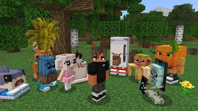 Screenshot of the Minecraft Bedrock Marketplace product PETS Add-On created by MelonBP.