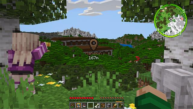 Screenshot of the Minecraft Bedrock Marketplace product Real Minimap created by MelonBP.