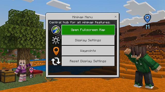 Screenshot of the Minecraft Bedrock Marketplace product Real Minimap created by MelonBP.