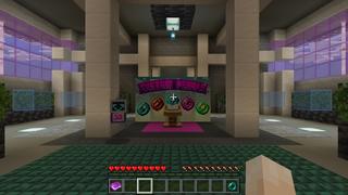 Screenshot of the Minecraft Bedrock Marketplace product Custom Pearls created by Meraki.