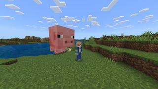Screenshot of the Minecraft Bedrock Marketplace product Giant Mobs created by Meraki.