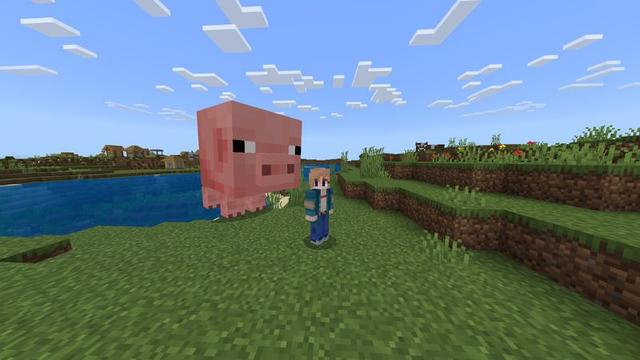 Screenshot of the Minecraft Bedrock Marketplace product Giant Mobs created by Meraki.