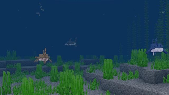 Screenshot of the Minecraft Bedrock Marketplace product Ocean Explorers Add-On created by Meraki.