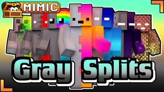 Thumbnail of the Minecraft Bedrock Marketplace product Gray Splits created by Mimic.