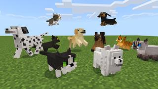 Screenshot of the Minecraft Bedrock Marketplace product Cats and Dogs created by Mine-North.