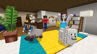 Screenshot of the Minecraft Bedrock Marketplace product Cats and Dogs created by Mine-North.
