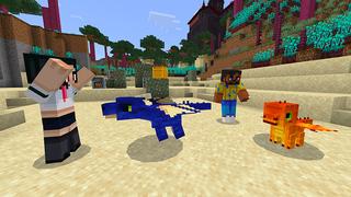 Screenshot of the Minecraft Bedrock Marketplace product Dragon World created by Mine-North.