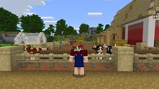 Screenshot of the Minecraft Bedrock Marketplace product Farm Life created by Mine-North.