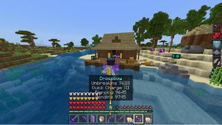 Screenshot of the Minecraft Bedrock Marketplace product Luckyblock Hacker created by Mine-North.
