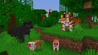 Screenshot of the Minecraft Bedrock Marketplace product More Animals created by Mine-North.