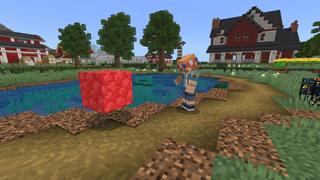 Screenshot of the Minecraft Bedrock Marketplace product Morph Into Blocks created by Mine-North.