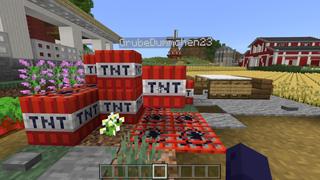 Screenshot of the Minecraft Bedrock Marketplace product Morph Into Blocks created by Mine-North.