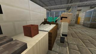 Screenshot of the Minecraft Bedrock Marketplace product Morph Into Mobs created by Mine-North.