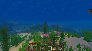 Screenshot of the Minecraft Bedrock Marketplace product Morph Into Mobs created by Mine-North.