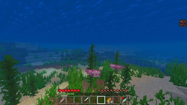 Screenshot of the Minecraft Bedrock Marketplace product Morph Into Mobs created by Mine-North.