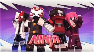 Thumbnail of the Minecraft Bedrock Marketplace product Ninja created by Mine-North.