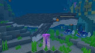 Screenshot of the Minecraft Bedrock Marketplace product Ocean Life created by Mine-North.