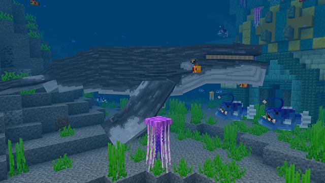 Screenshot of the Minecraft Bedrock Marketplace product Ocean Life created by Mine-North.