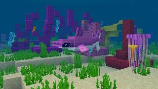 Screenshot of the Minecraft Bedrock Marketplace product Ocean Life created by Mine-North.