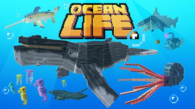 Thumbnail of the Minecraft Bedrock Marketplace product Ocean Life created by Mine-North.