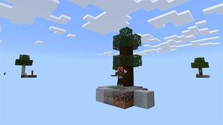 Screenshot of the Minecraft Bedrock Marketplace product One Block Multiplayer created by Mine-North.