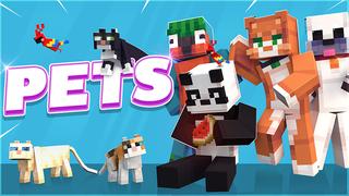 Thumbnail of the Minecraft Bedrock Marketplace product Pets created by Mine-North.